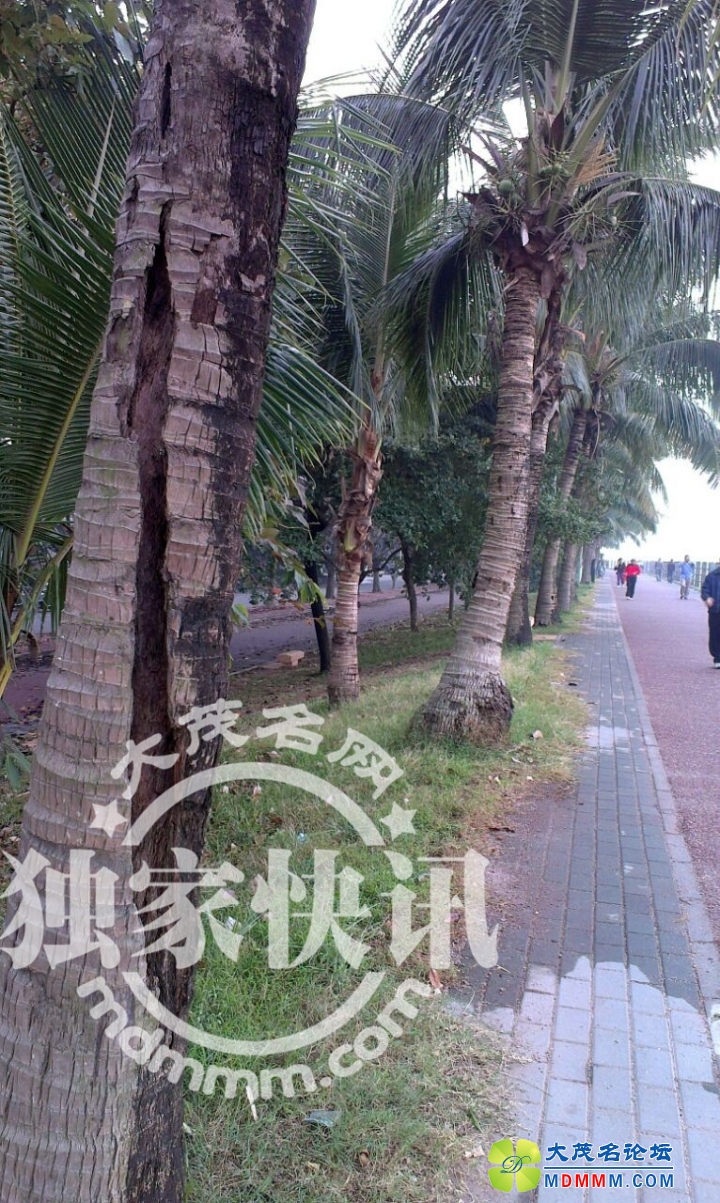 QQͼƬ20131121104440.jpg