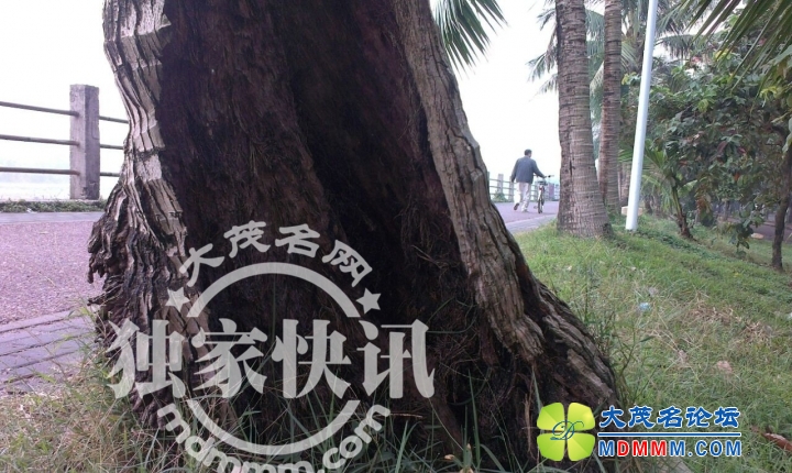 QQͼƬ20131121104445.jpg
