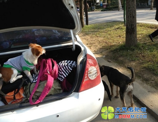 QQͼƬ20131121191535.jpg