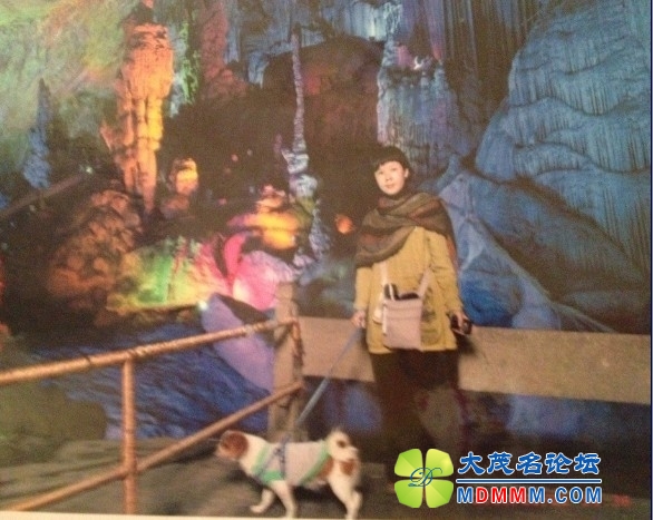 QQͼƬ20131121195152.jpg