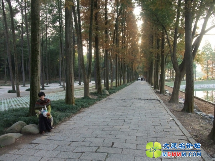 QQͼƬ20131121201746.jpg