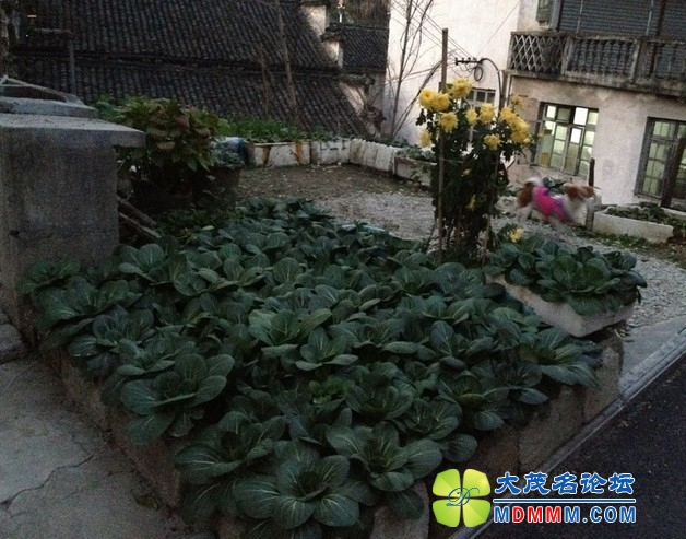 QQͼƬ20131122201958.jpg
