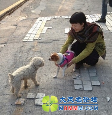 QQͼƬ20131122202542.jpg