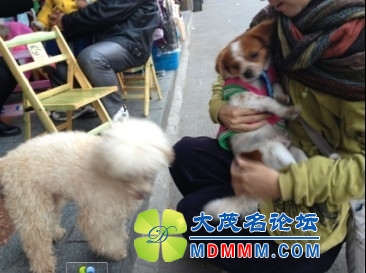 QQͼƬ20131122205438.jpg