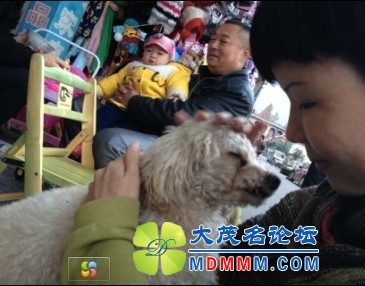 QQͼƬ20131122205637.jpg