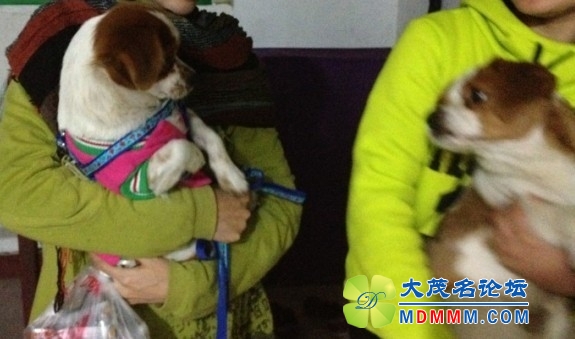 QQͼƬ20131122211130.jpg