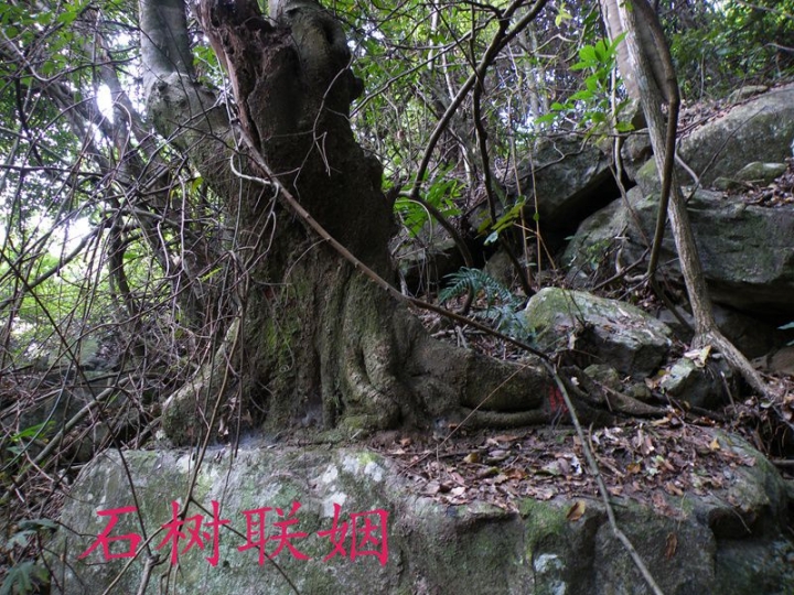 DSCF9301_.jpg