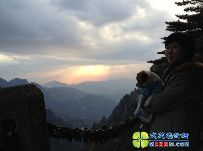 QQͼƬ20131124191530.jpg