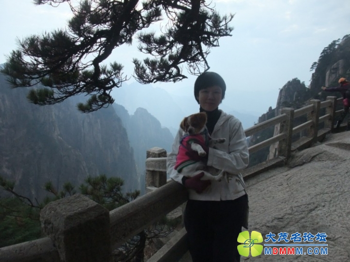QQͼƬ20131124212528.jpg