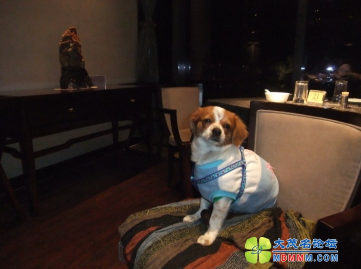 QQͼƬ20131124221033.jpg