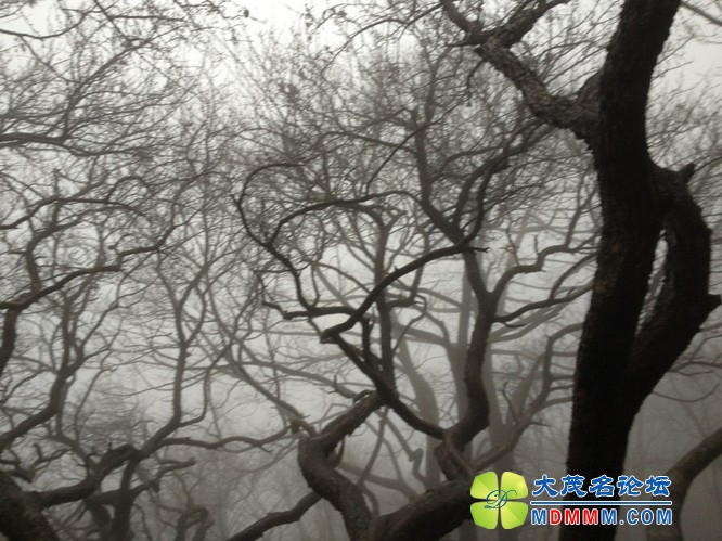 QQͼƬ20131125214226.jpg