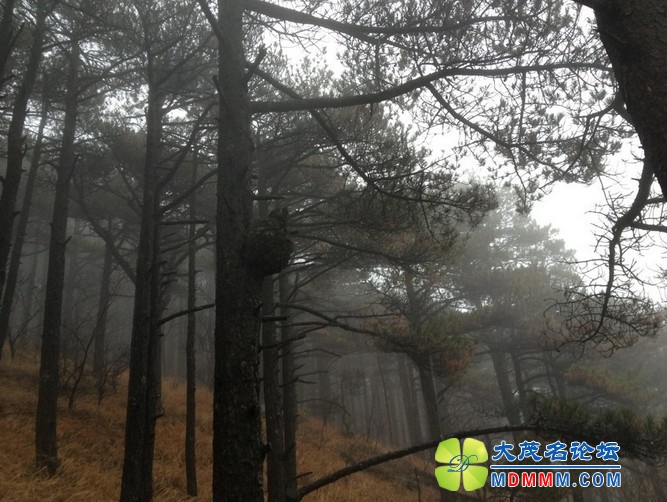 QQͼƬ20131125214753.jpg
