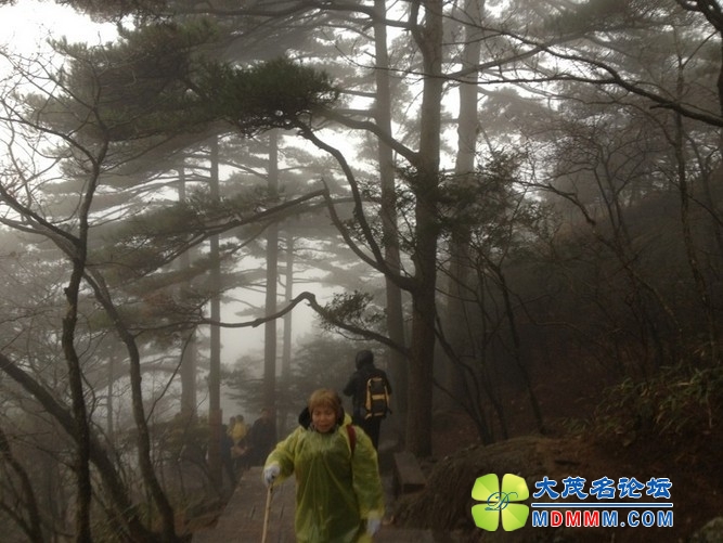 QQͼƬ20131125215022.jpg