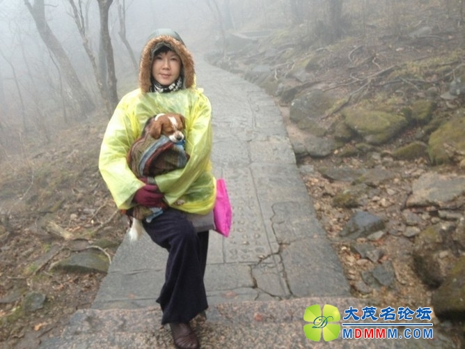 QQͼƬ20131125220202.jpg