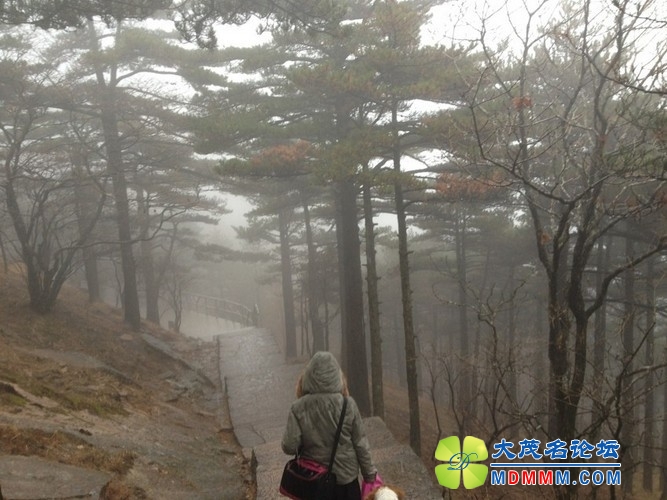 QQͼƬ20131125220333.jpg