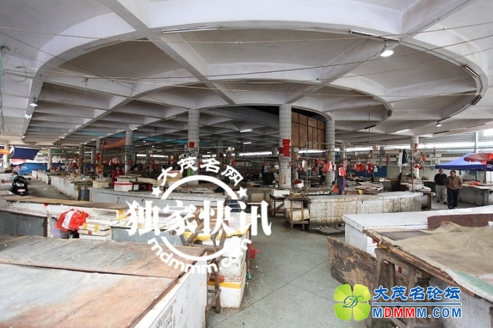 100535bbn5dli9i1koe4on.jpg