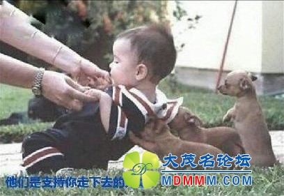 QQͼƬ20131130150330.jpg