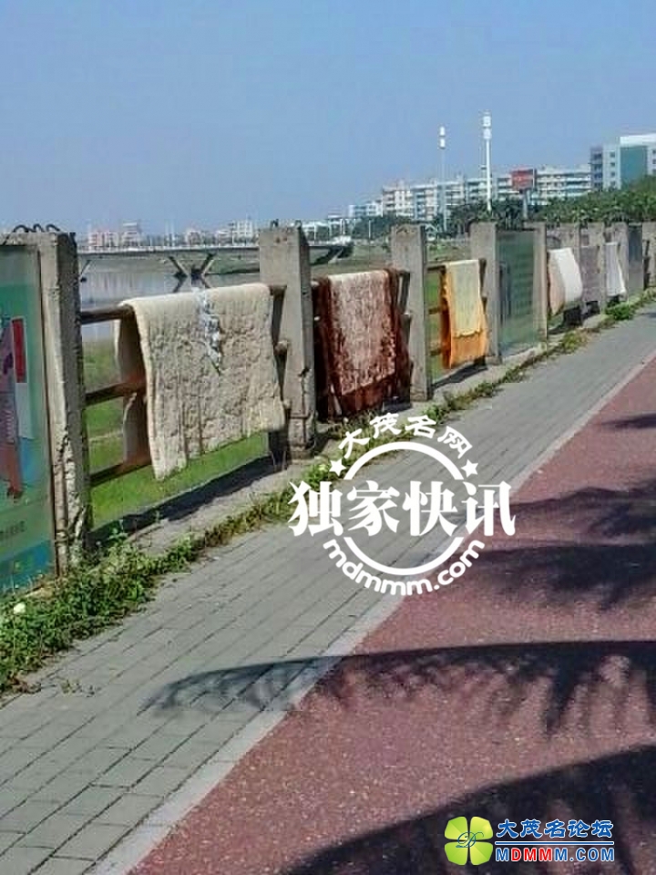 QQͼƬ20131201131905.jpg