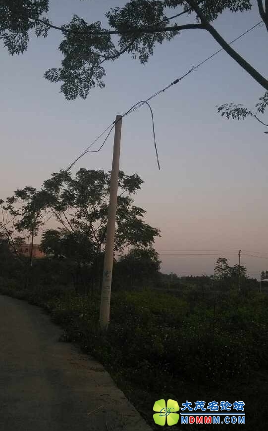 image.jpg