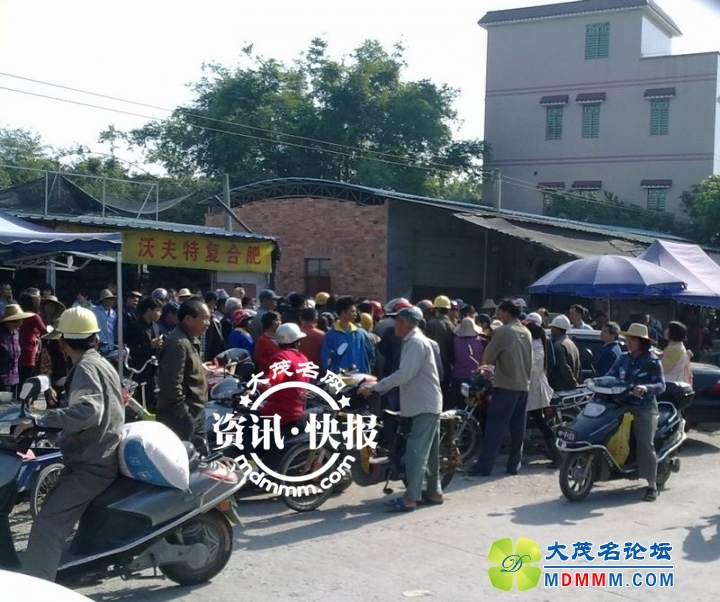 215217cclm1zh8hm5t55gh.jpg