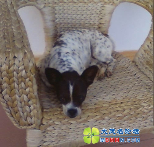 QQͼƬ20131205132732.jpg