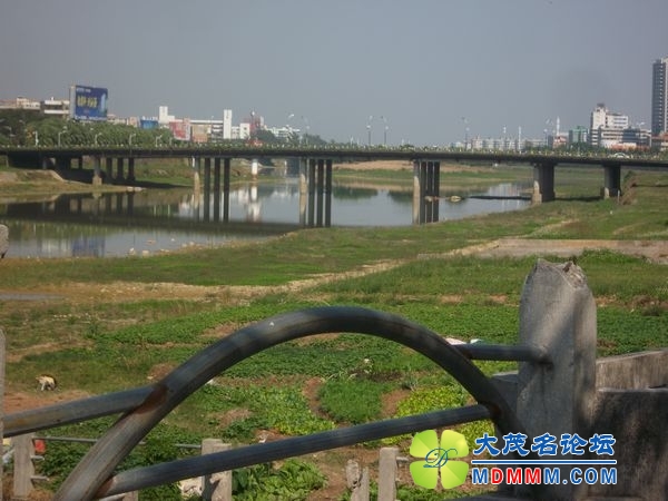 ALIM0781.JPG