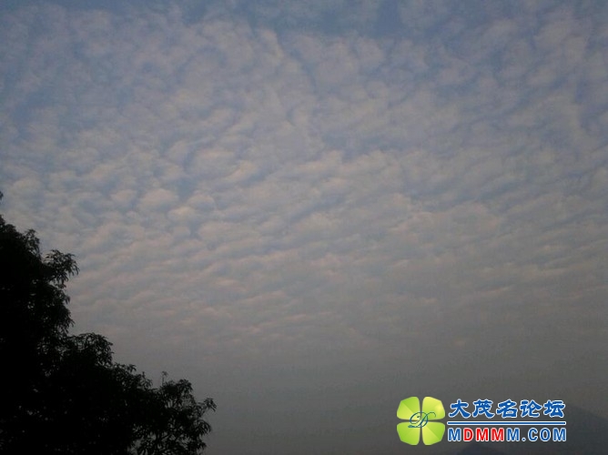 QQͼƬ20131209173616.jpg