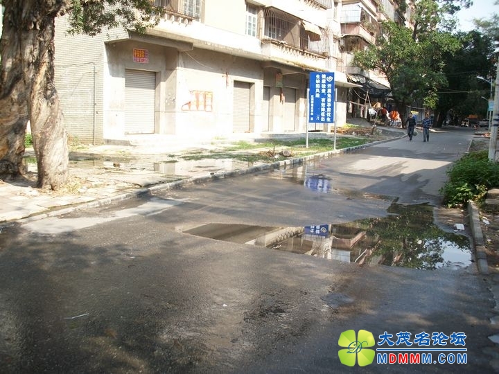 ALIM0794.JPG