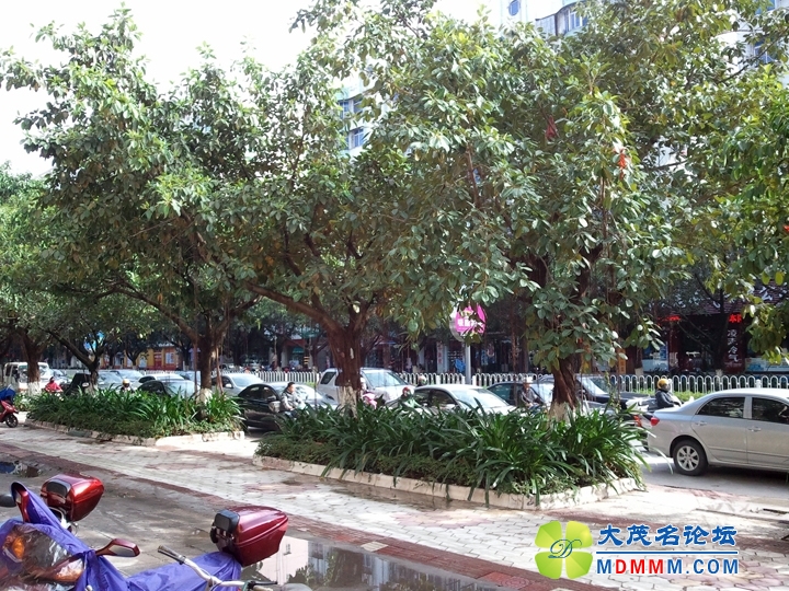 WP_002114.jpg