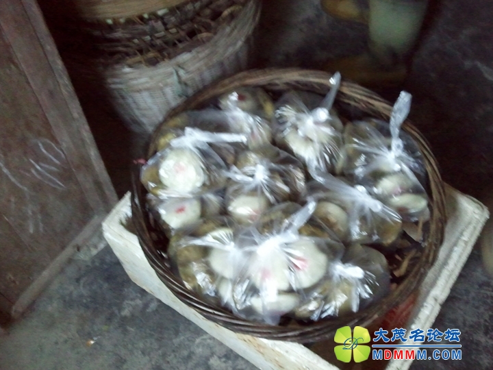 WP_002180.jpg