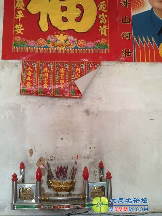 WP_002185.jpg