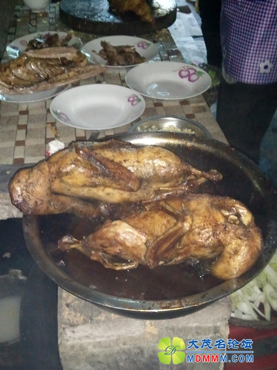 WP_002231.jpg