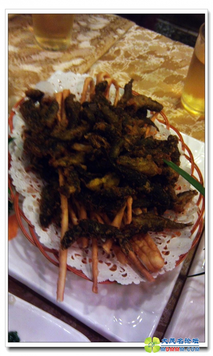 IMAG0767.jpg