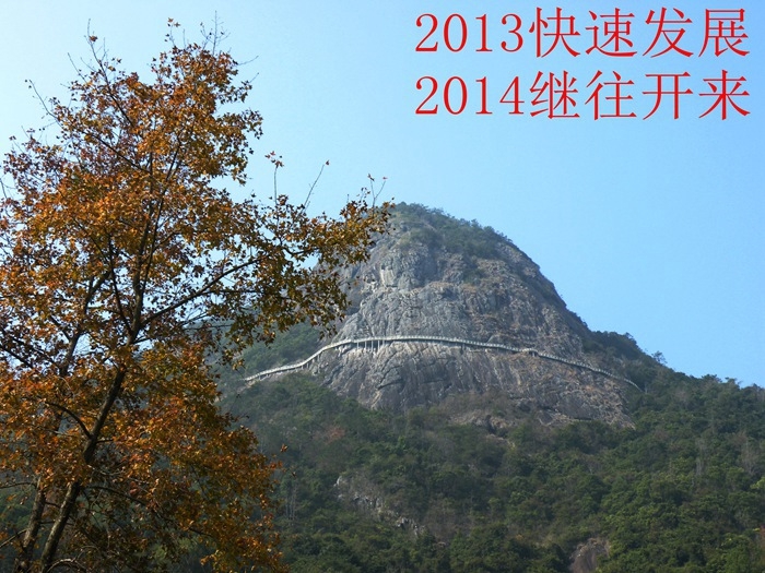 15.JPG