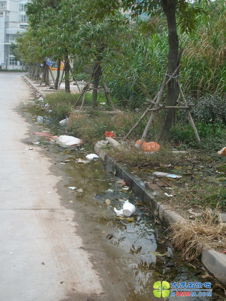 ALIM0829.JPG