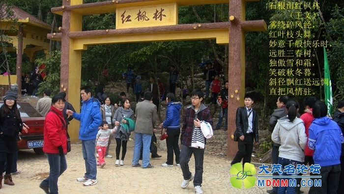 DSC05506.JPG