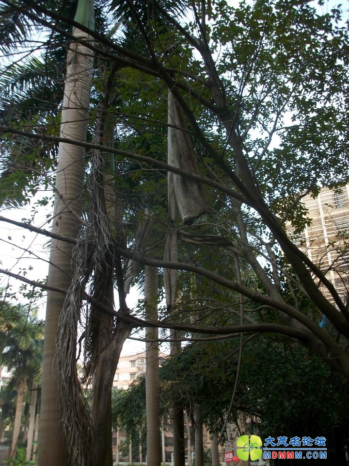 ALIM0839.JPG