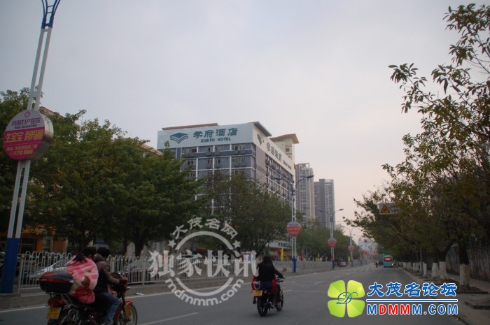 DSC_7633_.jpg