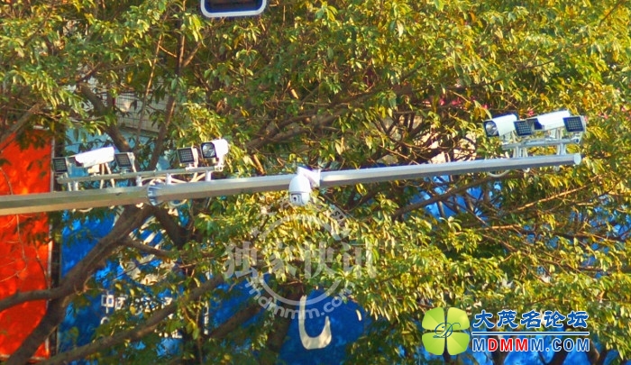 DSC_7762__.jpg