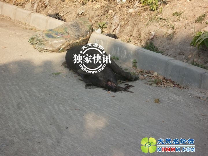 134737yokkkuekmhm7h733_.jpg