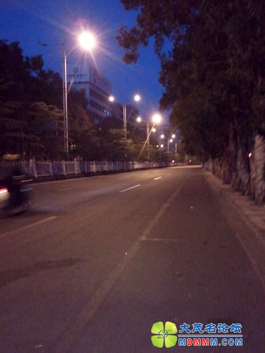 WP_002539.jpg