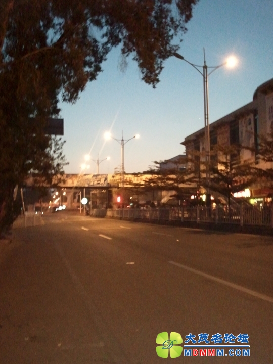 WP_002536.jpg
