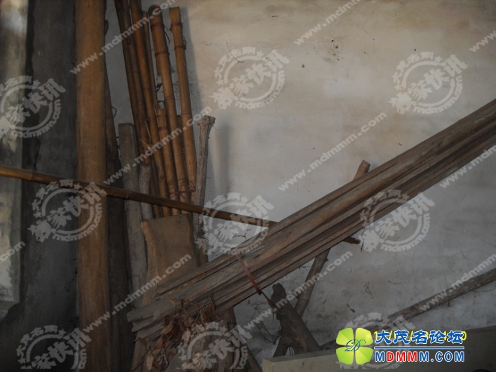 SDC11797_.jpg
