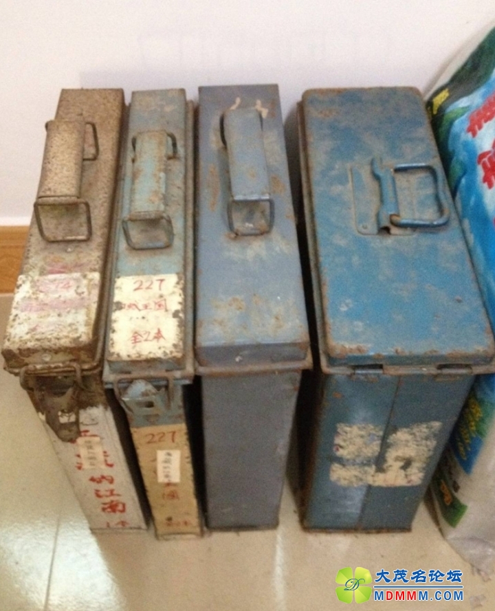 191846mf15f6gh662hx6ne____________.jpg