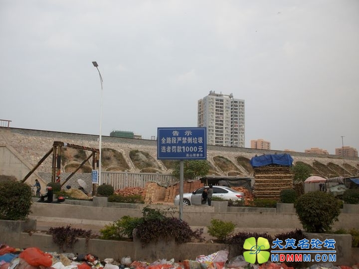ALIM0851.JPG