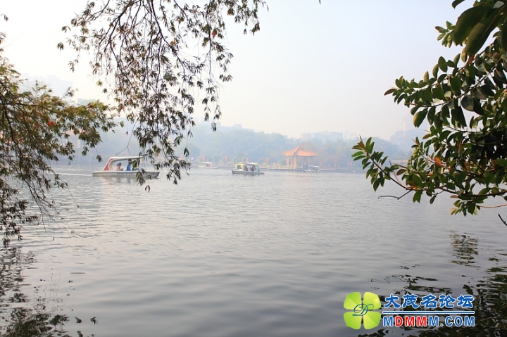 IMG_5835.JPG