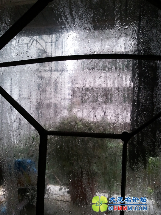 WP_002781.jpg