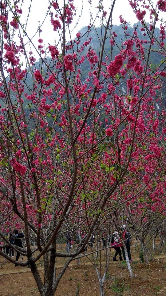 QQͼƬ20140225154133.jpg