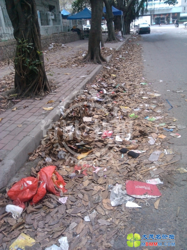 QQͼƬ20140306153221___.jpg