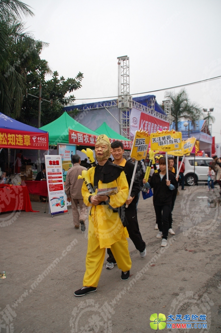 DSC_9054_.jpg